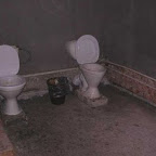 unusual_and_funny_toilets_70