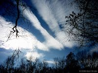 Fall Sky