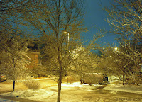An Icy Night