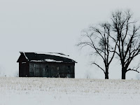 In A Field