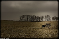 Alone