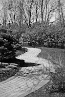 A Walking Path: (1/3200 sec @ f/1.8; 50mm)