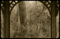 Arch to another World: (1/800 sec @ f/2.2; 50mm)