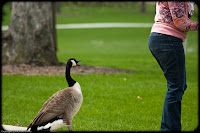Attack!: (1/1000 sec @ f/4; 192mm)