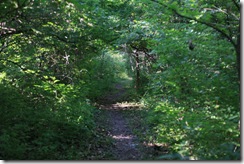 IMG_4771WV