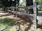 Jan 24 - Post and rail fence