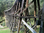Feb 28 - Historic trestle railway bridge at Noojee
