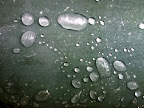Aug 1 - Water globules