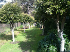 Aug 9 - Garden Walkway