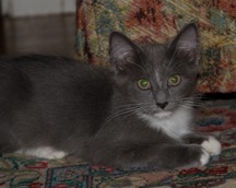 [white-feet[4].jpg]