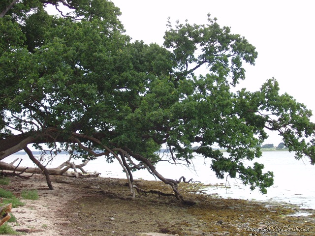[P70623136.jpg]