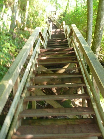 [P10200342.jpg]
