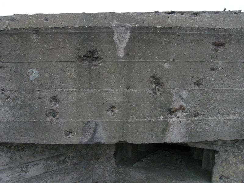 PA250067.JPG