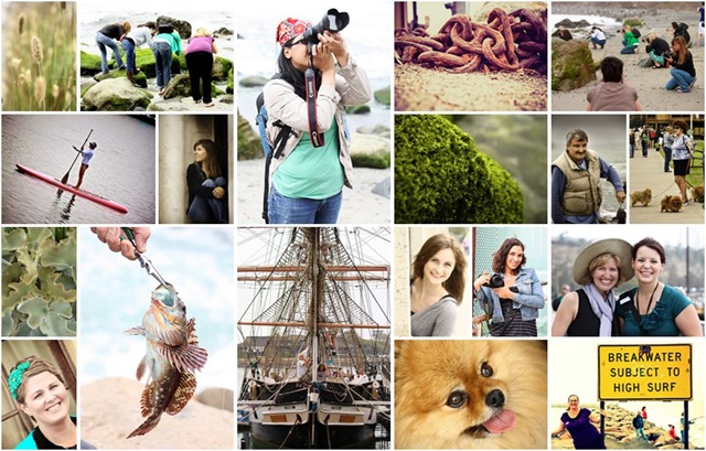 [ihf photowalk flickr sampling collage[5].jpg]