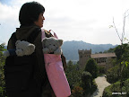 IMG_4335.JPG