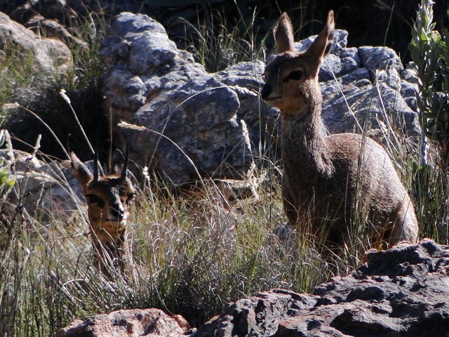 [DSC050004.jpg]