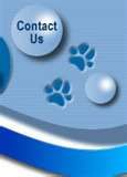 Click Here to Email Us!