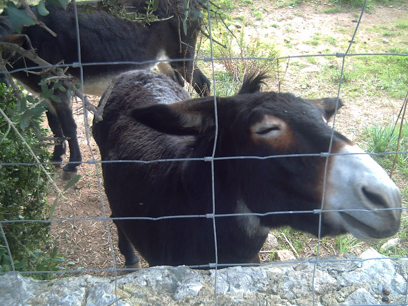 PICT0017.JPG