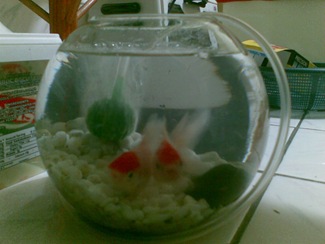 toink038
