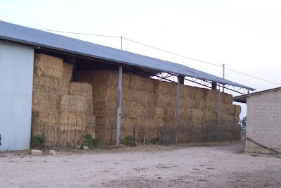 Image of Balle di paglia
