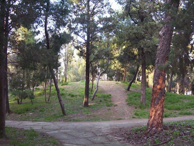 Image of Foggia - Villa Comunale