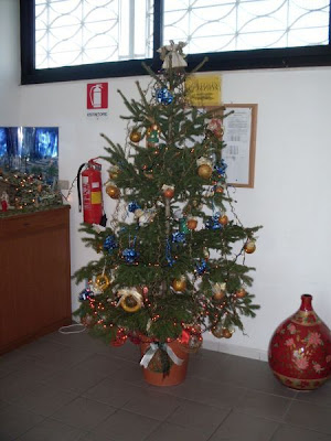 Image of Albero di Natale