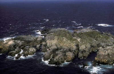 Gabbiano glauco del Pacifico