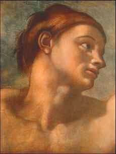 Image of Adamo - Michelangelo