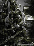 Project 365, Jan 1 Photo 1 