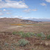 DSCF3368.JPG