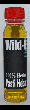 [wild-x2[19].gif]