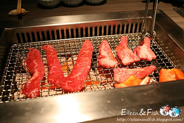 20100509_1-13