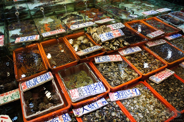 [201103062-1-22[3].jpg]