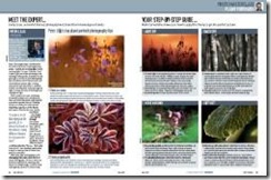 clip_image038