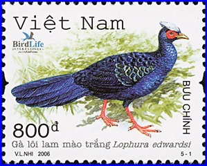 vie200601l vie200601l