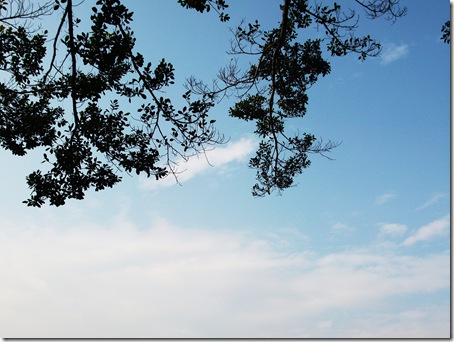 DSCF0084
