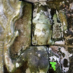 Preah Khan devata of shadows 33 Preah Khan Khmer Temple Goddesses   Devata of the Shadows