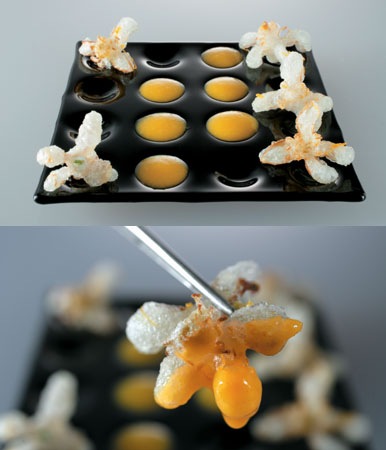 [flor de mandarino en tempura.jpg]