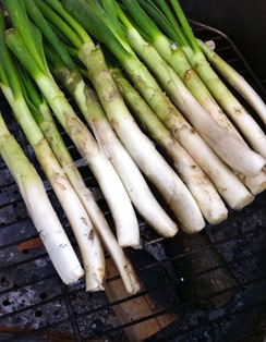 calçots 068