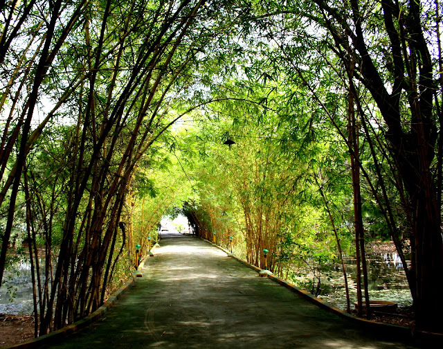 The way through the Resort