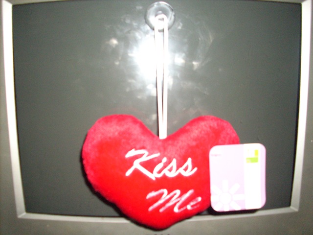 [DSCI02572.jpg]