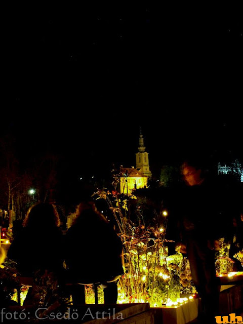 nov1_2010_12.jpg