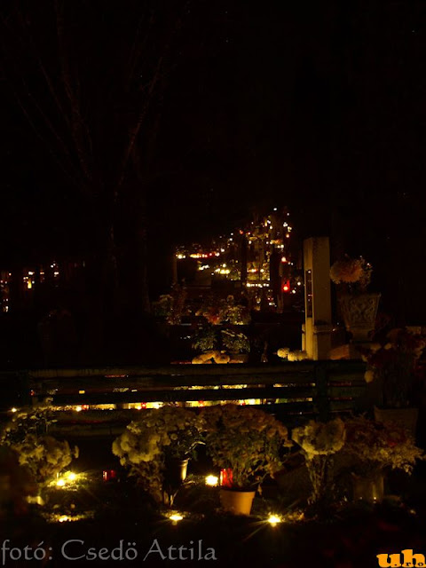nov1_2010_21.jpg