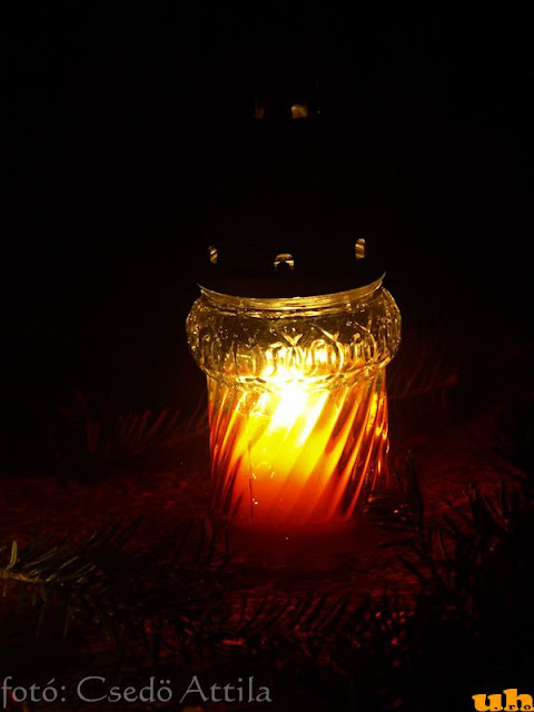 nov1_2010_23.jpg