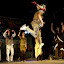 mezogbal2010_12.jpg