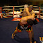 k1gala_070.jpg