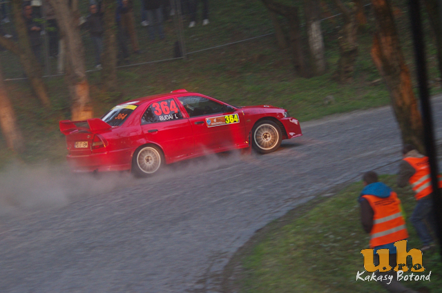 vasarhelyi rally g-43.jpg