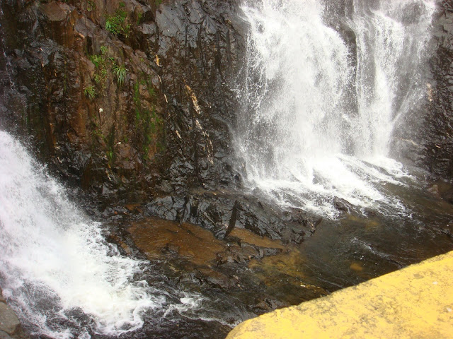 Ciclista Fabiano.