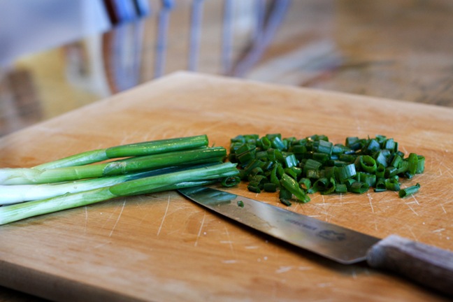[scallions-2-015web[5].jpg]