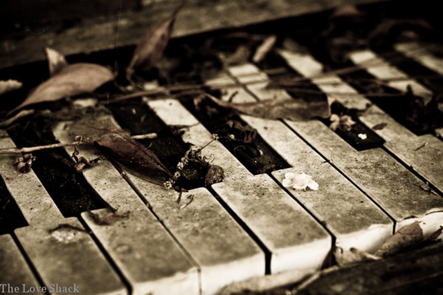 [piano5 (1 of 1)[7].jpg]